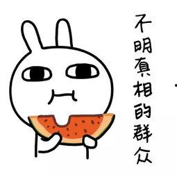 吃瓜娱乐常用bgm,跟随热门bgm，解锁吃瓜娱乐新境界